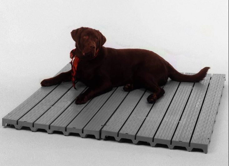 Dog Kennel Flooring