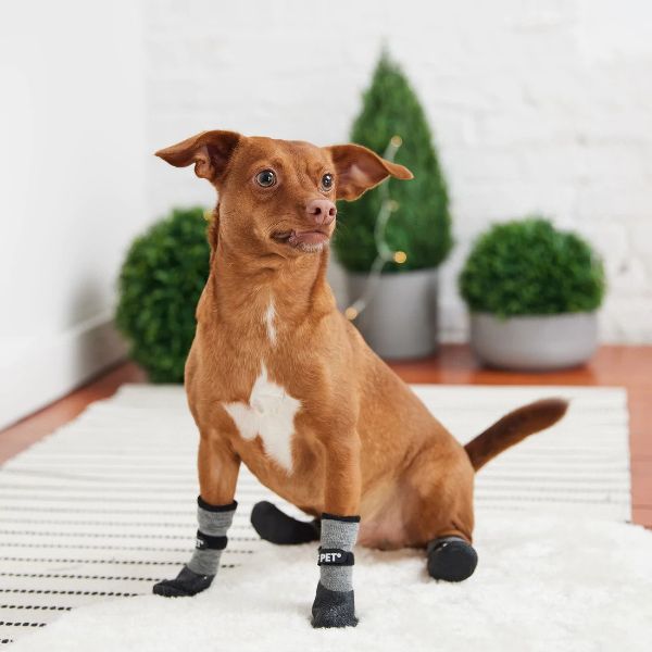 Stylish Dog Shoes And Boots