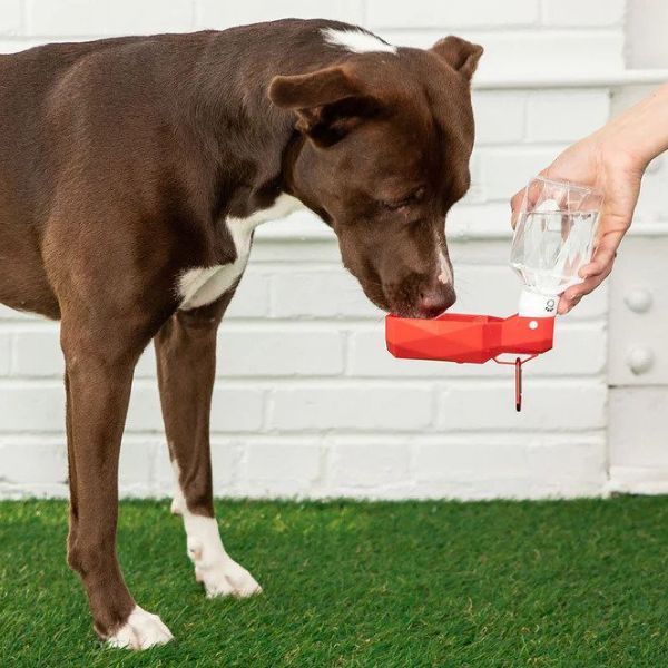 Portable Dog Water Bottles