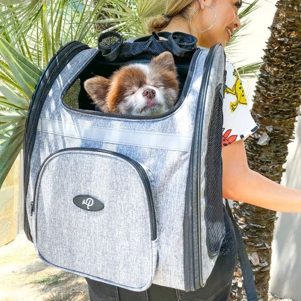 Durable Dog Bags, Carriers, And Strollers