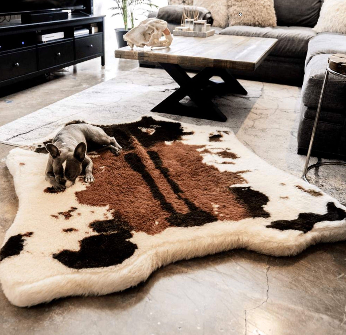 Animal Print Dog Beds