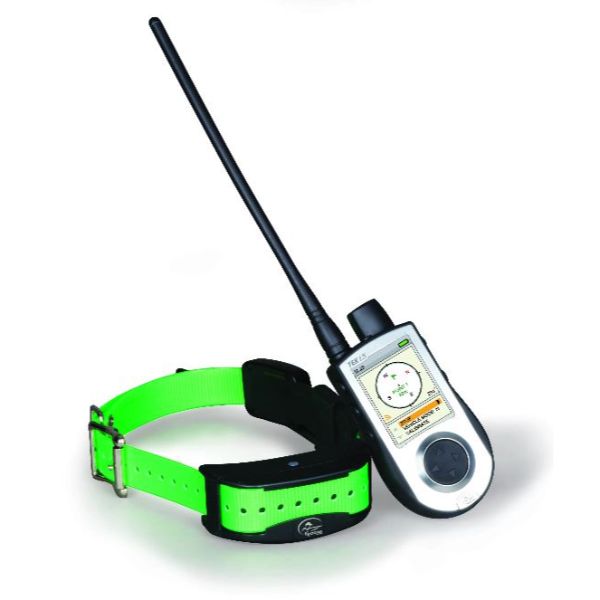 GPS + training collars