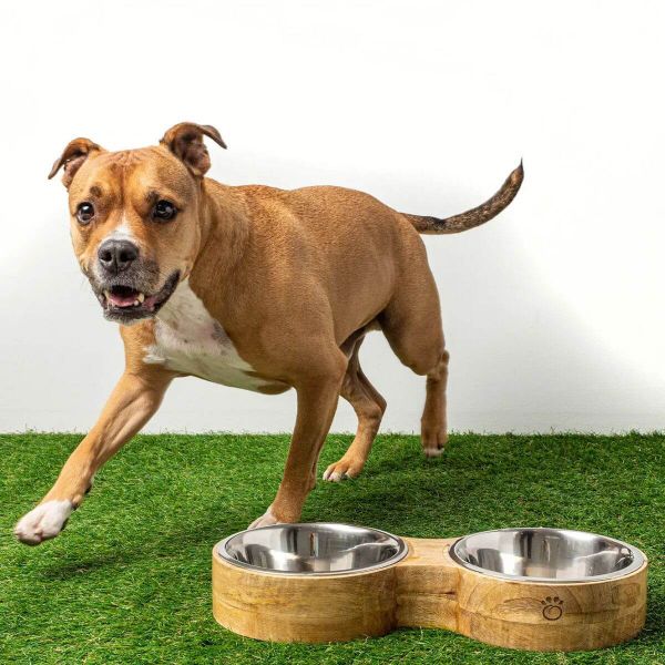 Pet Feeder With Two Dog Bowls