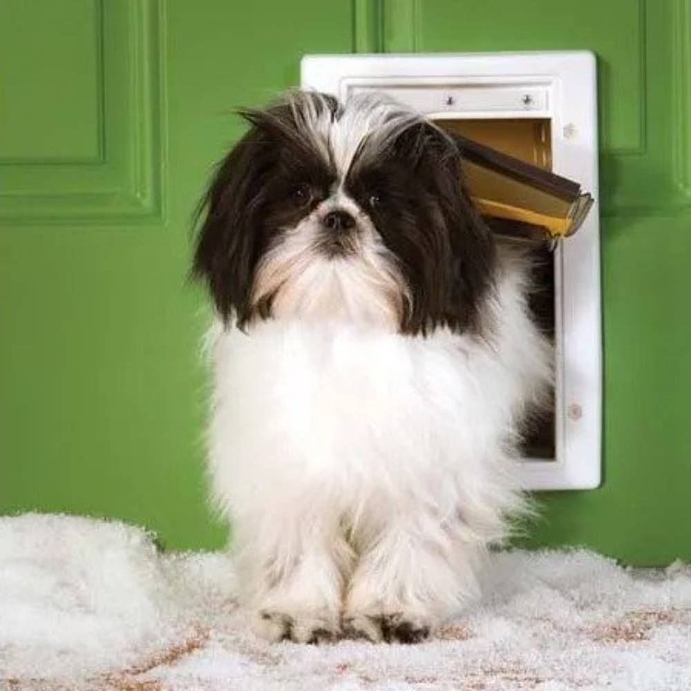 Best Dog Doors For All Breeds And Sizes