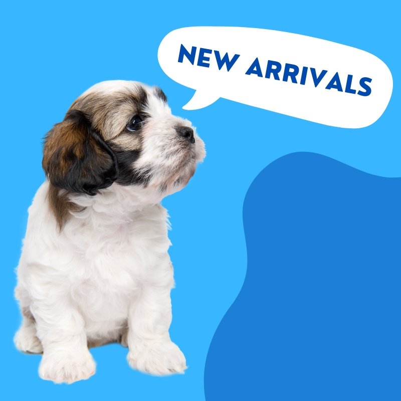 New Arrivals - Puppy Fever Pro