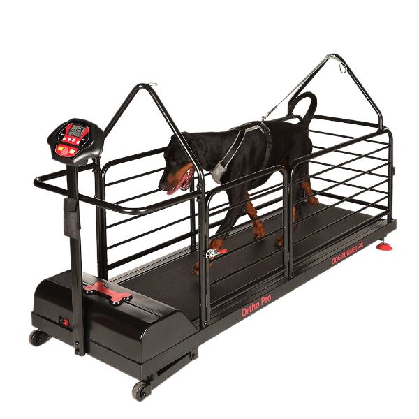 Dog Treadmills For Small To Large Pets