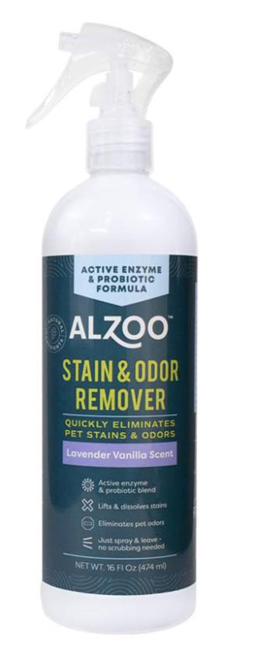Stain & Odor Remover