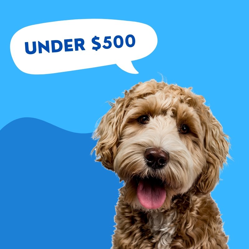 Under $500 - Puppy Fever Pro