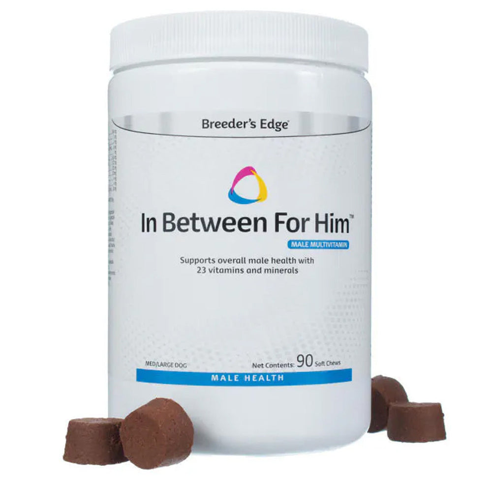 Breeder's Edge In Between For Him- Male Multivitamin For Medium & Large Dogs