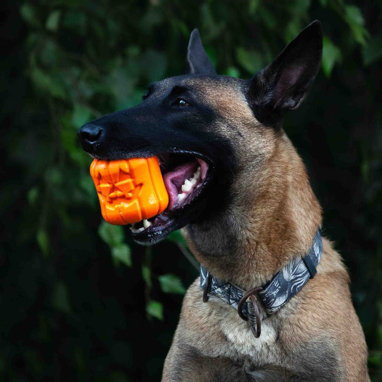 Jack O' Lantern Durable Rubber Chew Toy & Treat Dispenser