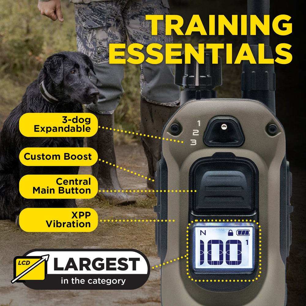 Dogtra 1900X what's in the box