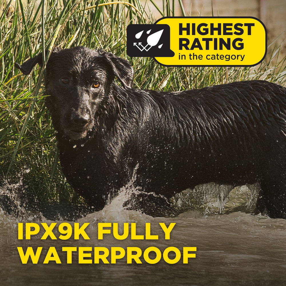 Dogtra 1900X waterproof receiver