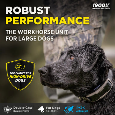Dogtra 1900X features overview