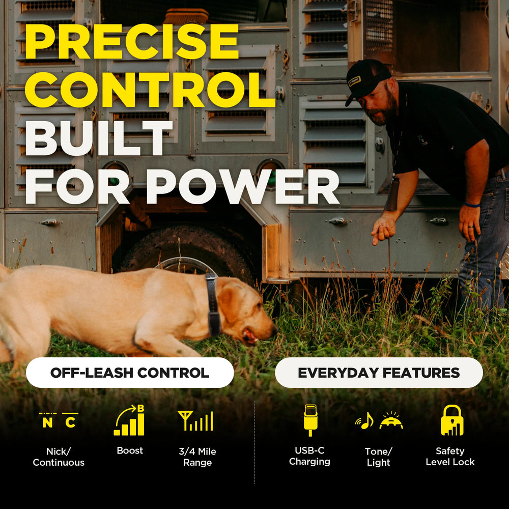 Dogtra 1900X remote control