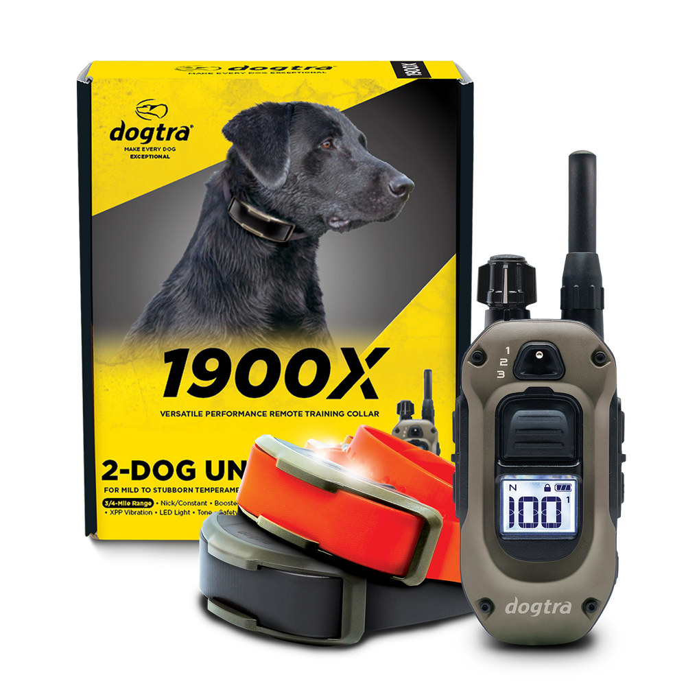 Dogtra 1900X 2 Dog Remote Trainer