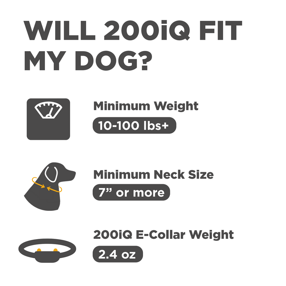 Dogtra 200iQ fit guide