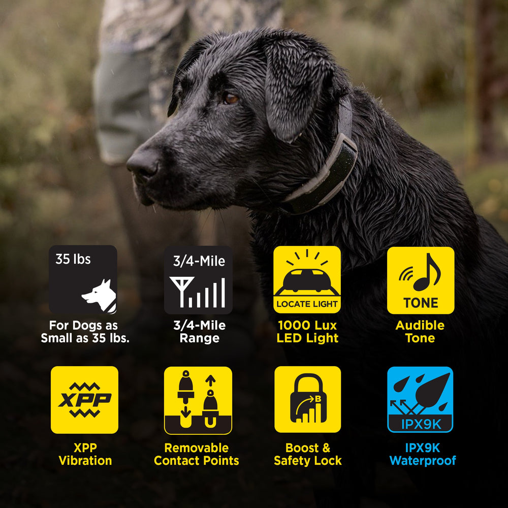 Dogtra 1900X receiver features