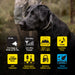 Dogtra 1900X receiver features