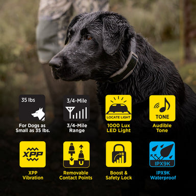 Dogtra 1900X 2 dog system features
