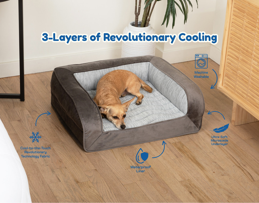 Paw PupChill Cooling Bolster Dog Bed with dog