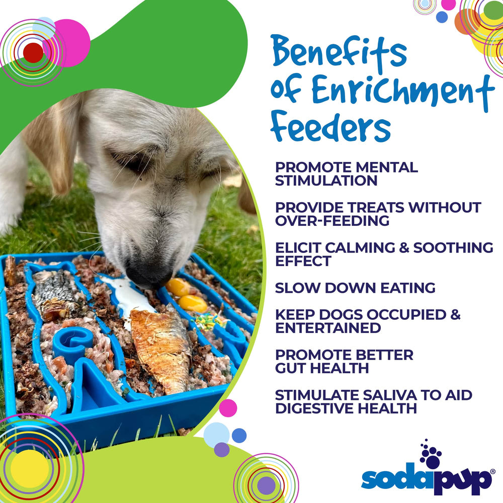 Waiting Dogs Design eTray Enrichment Tray for Dogs