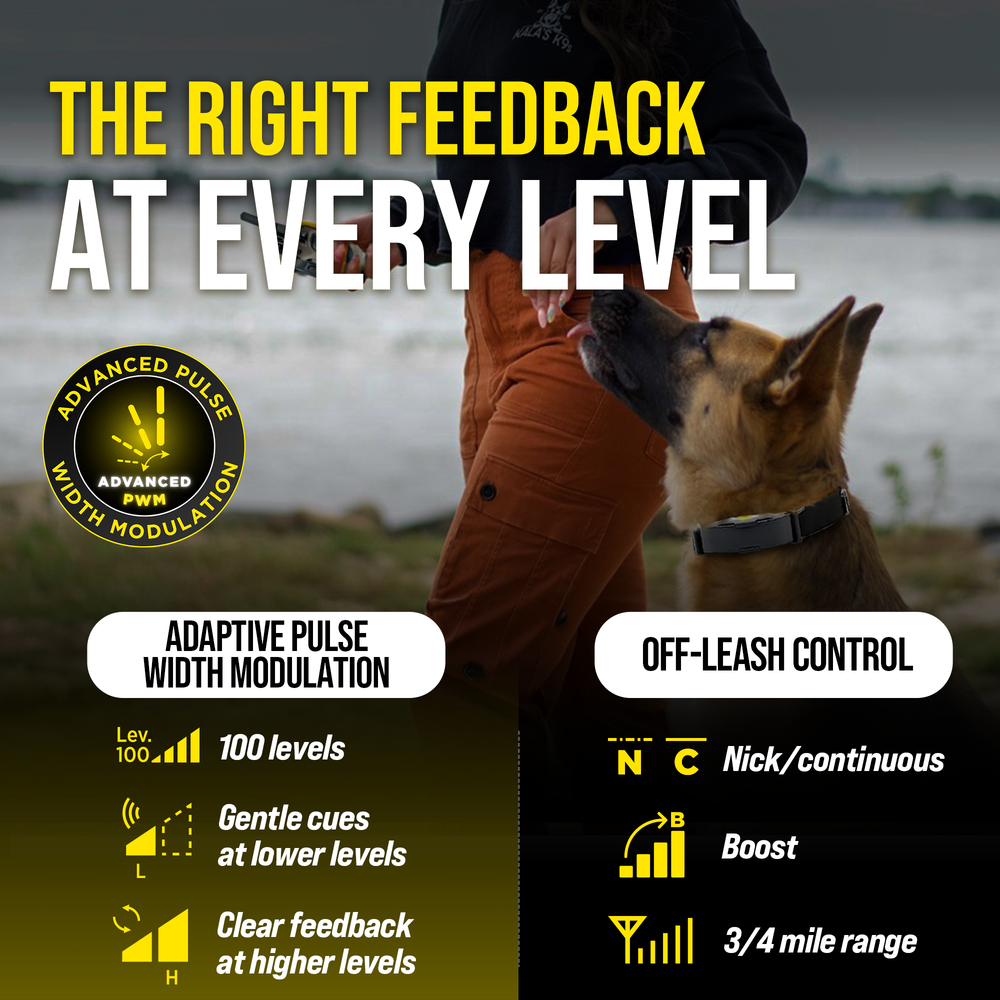 Dogtra ARC-X feedback