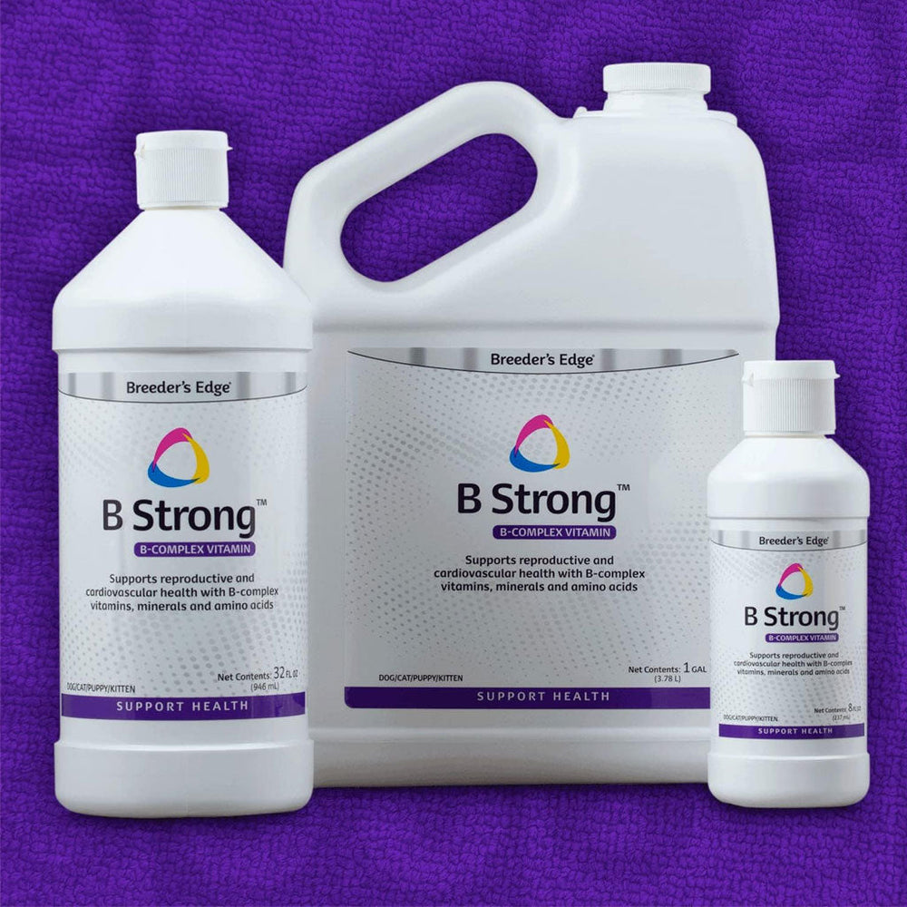 Breeder's Edge B Strong Liquid for Dogs & Cats