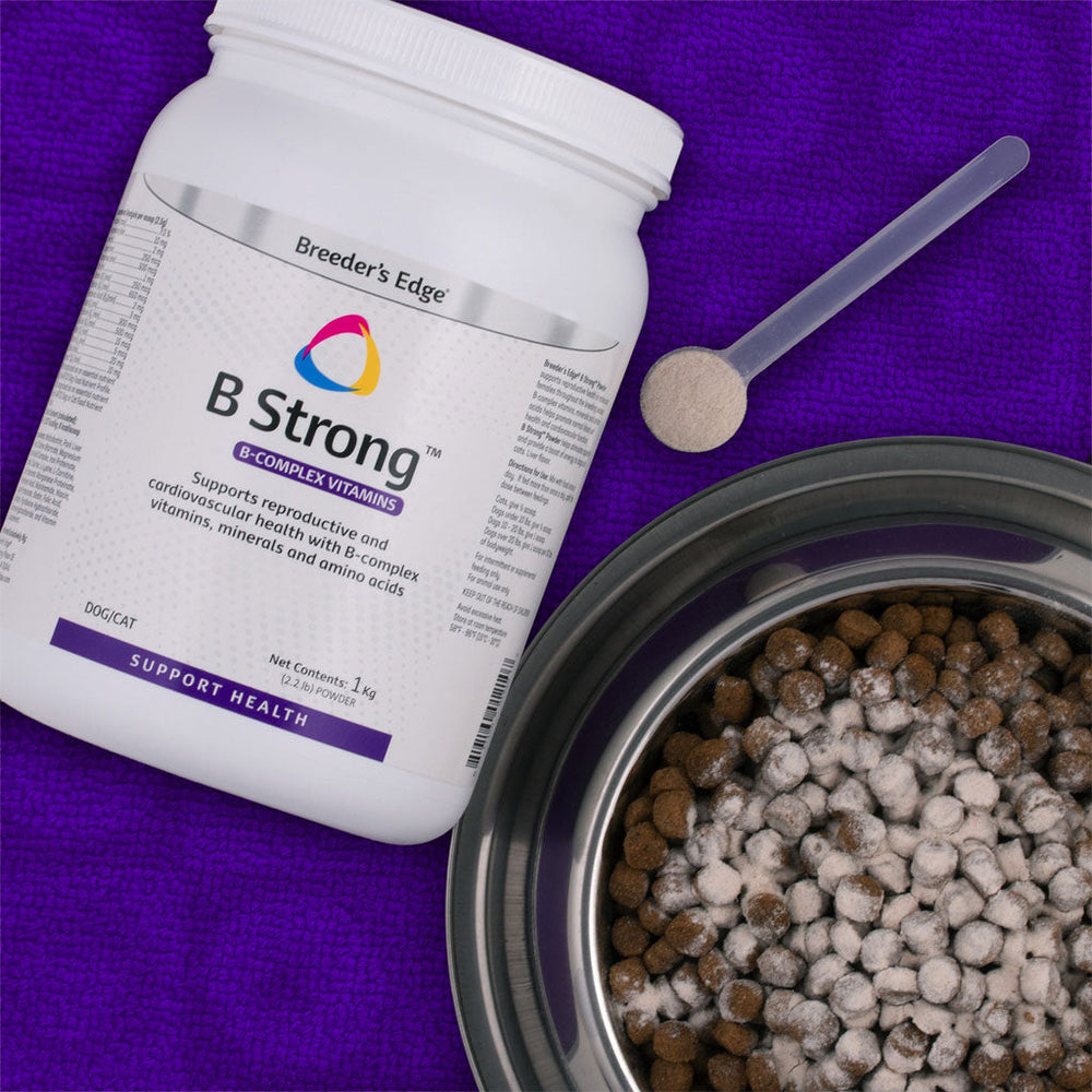 Breeder's Edge B Strong Powder for Dogs & Cats