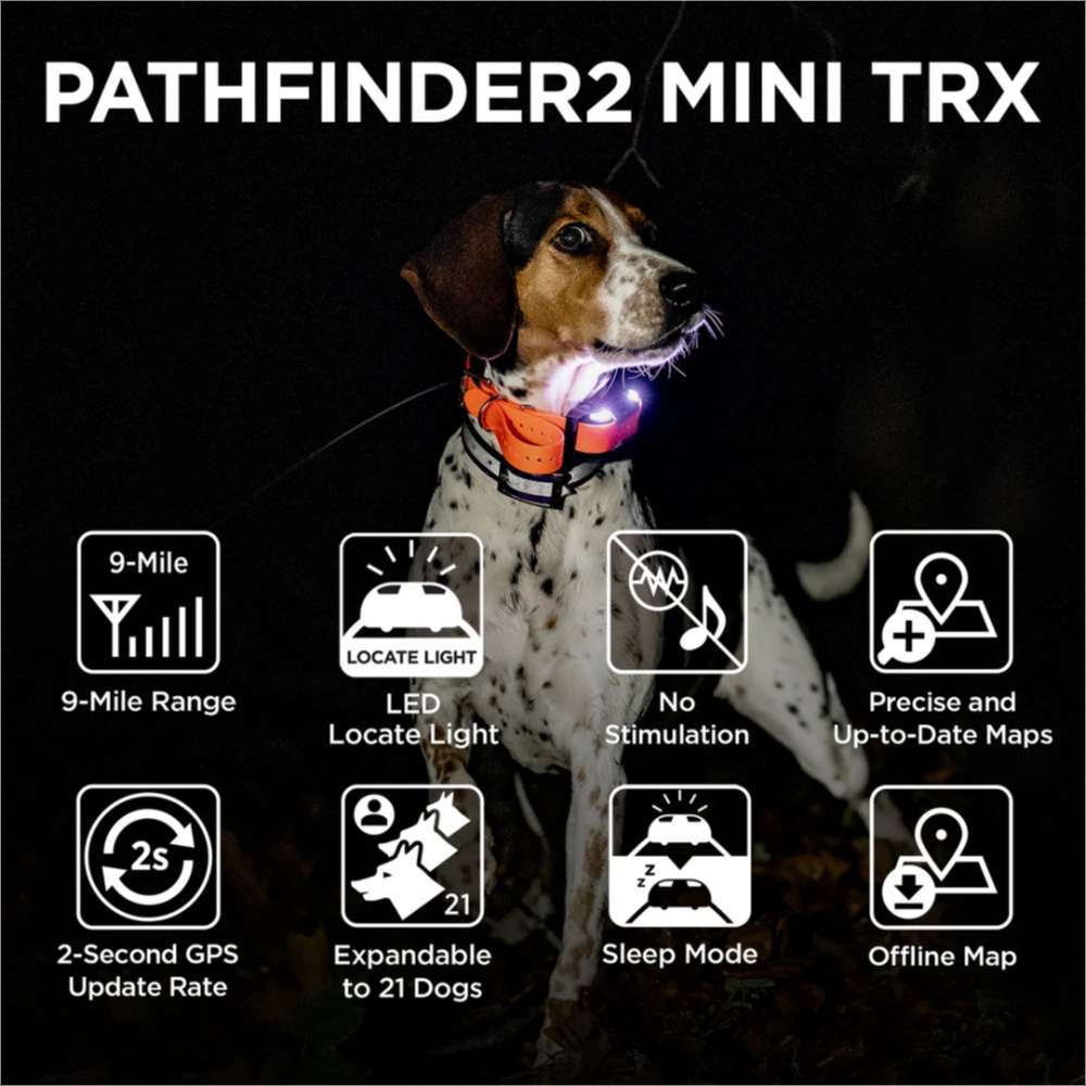 A dog at night wears Dogtra Pathfinder2 Mini TRX Additional Receiver with glowing LED lights and icons highlighting GPS tracking features