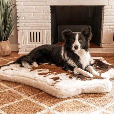 A Border Collie relaxes on the Brown Faux Cowhide Paw PupRug™ Animal Print Memory Foam Dog Bed near a fireplace