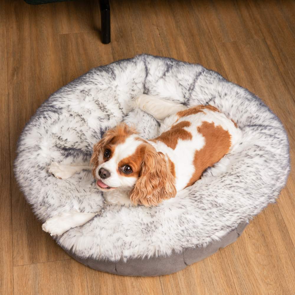 A Cavalier King Charles Spaniel is happily lounging on the Ultra Plush Arctic Fox Paw PupPouf™ Luxe Faux Fur Donut Dog Bed on a wooden floor