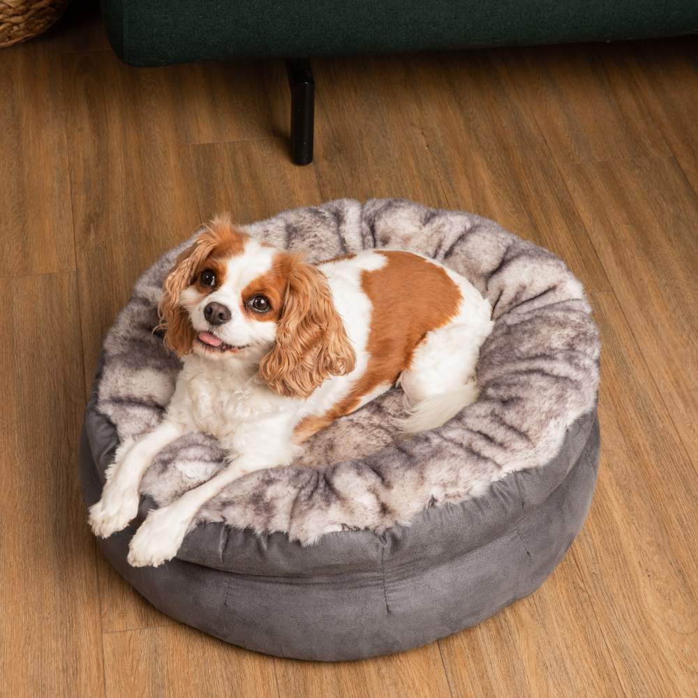 A Cavalier King Charles Spaniel is lounging on the Ultra Soft Chinchilla Paw PupPouf™ Luxe Faux Fur Donut Dog Bed with a content expression
