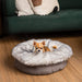 A Chihuahua is comfortably seated on the Ultra Plush Arctic Fox Paw PupPouf™ Luxe Faux Fur Donut Dog Bed in front of a green couch