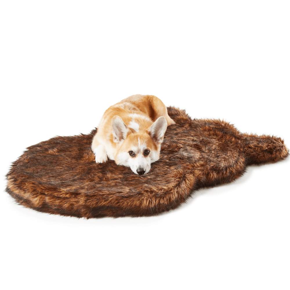 A Corgi is lying on the Curve Brown Paw PupRug Faux Fur Orthopedic Dog Bed against a plain white background