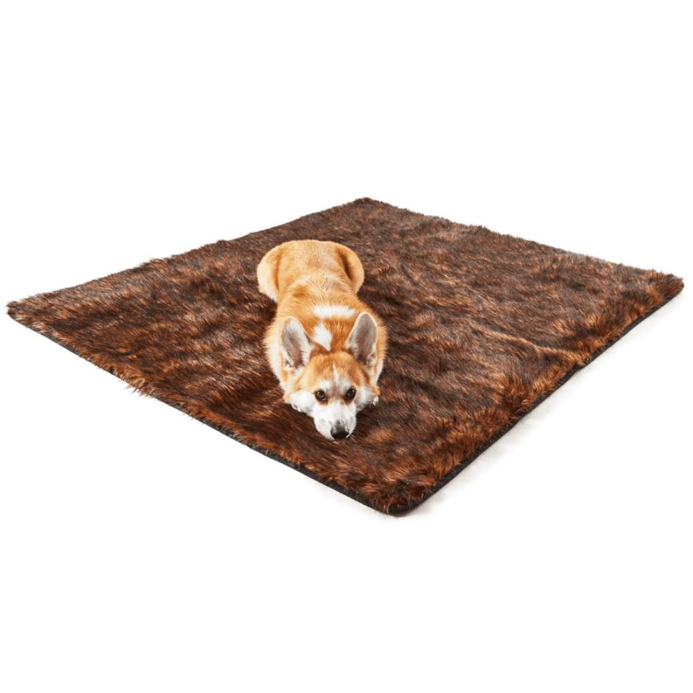 A Corgi is lying on the floor with a Paw PupProtector™ Waterproof Throw Blanket - Brown