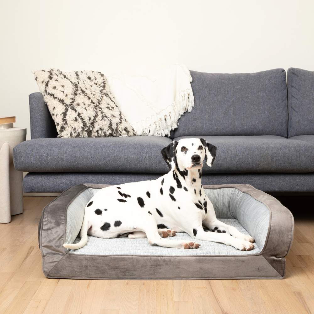 A Dalmatian is sitting on the Paw PupChill™ Cooling Bolster Dog Bed, set against a stylish living room backdrop