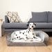A Dalmatian is sitting on the Paw PupChill™ Cooling Bolster Dog Bed, set against a stylish living room backdrop