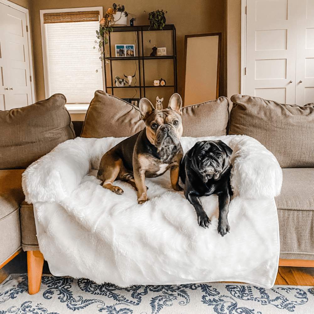 A French Bulldog and a black pug are comfortably resting on the Paw PupProtector™ Waterproof Couch Lounger - Polar White on a grey couch