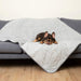 A French Bulldog is lying on a couch with the Paw PupChill™ Cooling Waterproof Blanket - Arctic Grey