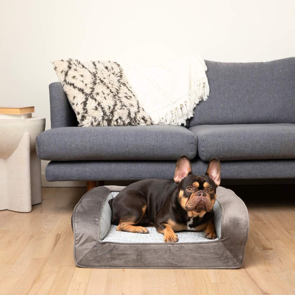 A French Bulldog is lying on the Paw PupChill™ Cooling Bolster Dog Bed, placed in front of a modern gray couch