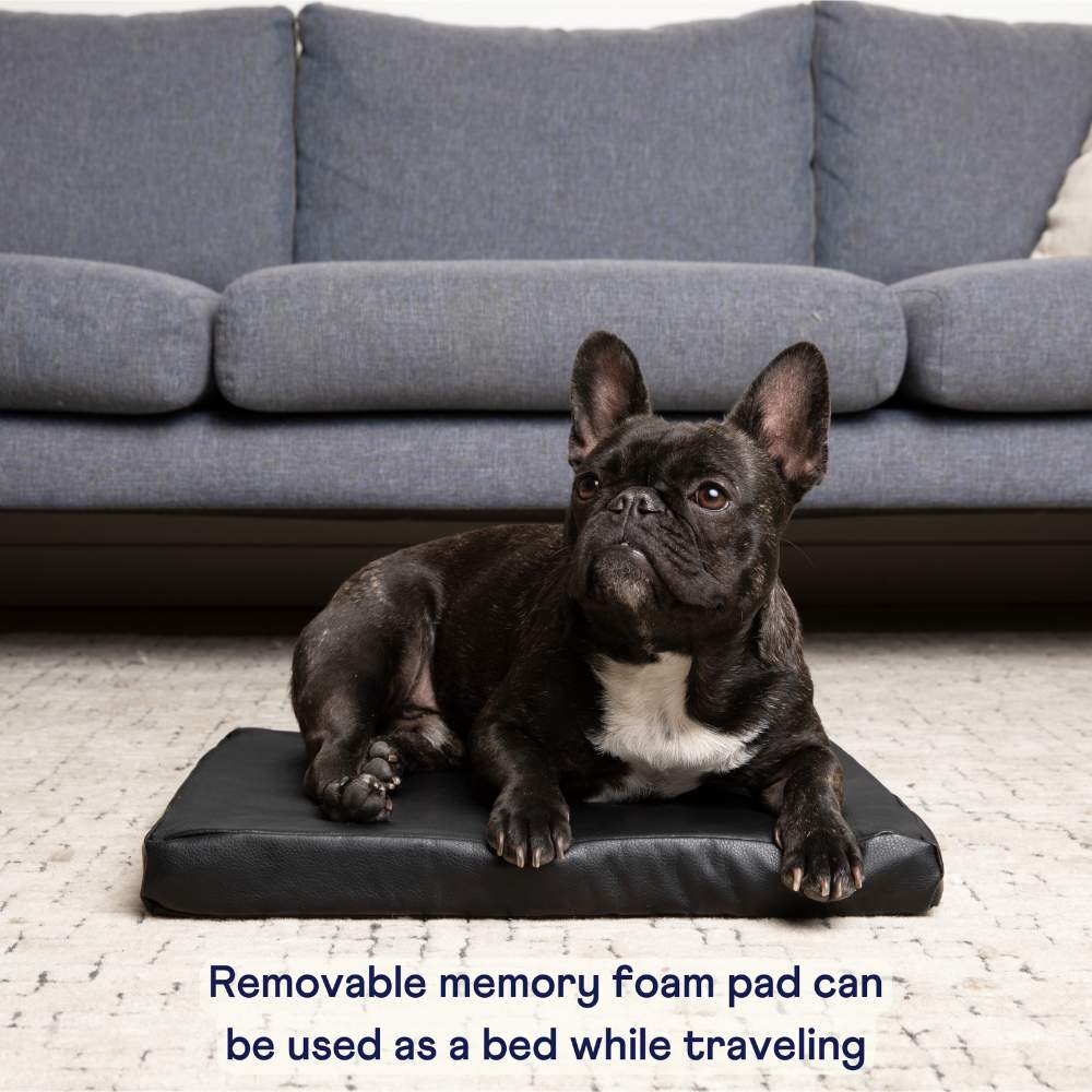 A French Bulldog is resting on a removable memory foam pad from the Paw PupProtector™ Faux Leather Memory Foam Dog Car Bed - Black