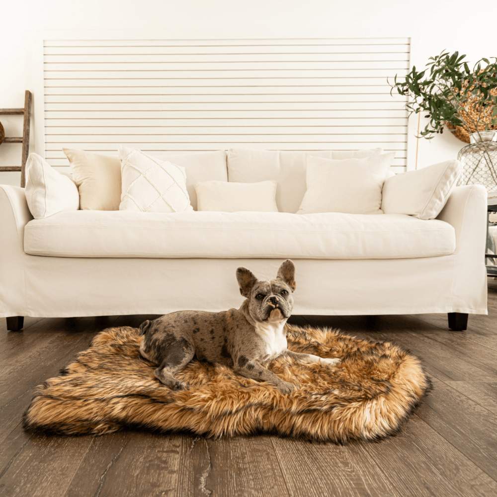 A French Bulldog lying comfortably on a Curve Sable Tan Paw PupRug Faux Fur Orthopedic Dog Bed in front of a white couch
