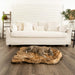 A French Bulldog resting peacefully on a Curve Sable Tan Paw PupRug Faux Fur Orthopedic Dog Bed in front of a white sofa