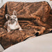 A French bulldog is comfortably lying on the Paw PupProtector™ Short Fur Waterproof Throw Blanket - Sable Tan Pet Blanket
