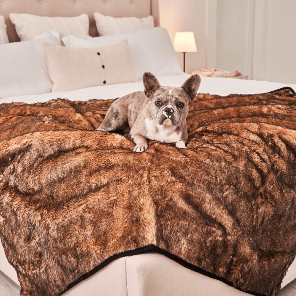 A French bulldog is relaxing on the Paw PupProtector™ Short Fur Waterproof Throw Blanket - Sable Tan spread out on a bed