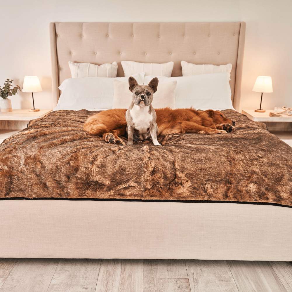 A French bulldog is sitting on a bed covered with the Paw PupProtector™ Short Fur Waterproof Throw Blanket - Sable Tan