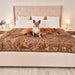A French bulldog is sitting on a bed covered with the Paw PupProtector™ Short Fur Waterproof Throw Blanket - Sable Tan