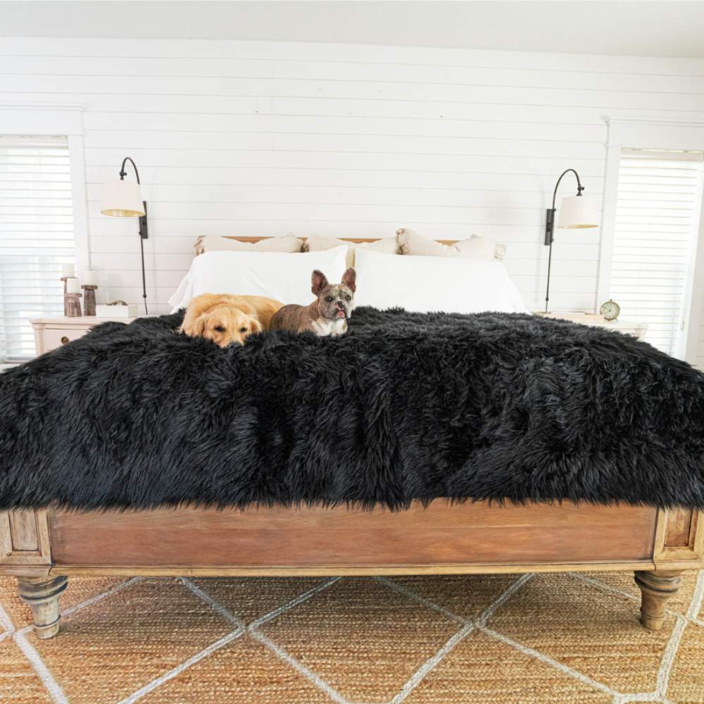 A Golden Retriever and a French Bulldog are lying on a bed with a Paw PupProtector™ Waterproof Throw Blanket - Midnight Black