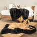 A Golden Retriever is lying on a rug and a French Bulldog is on a bed, both with a Paw PupProtector™ Waterproof Throw Blanket - Midnight Black