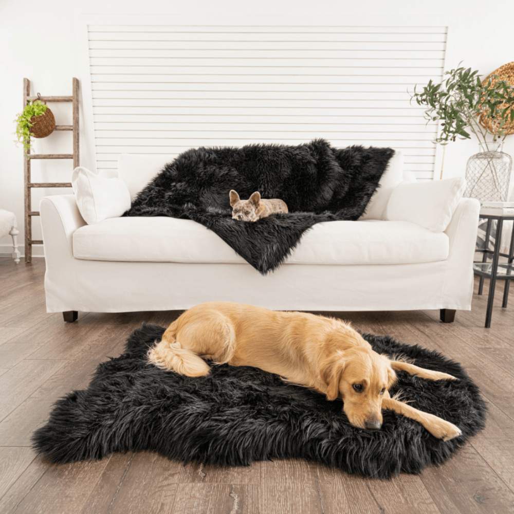 A Golden Retriever is lying on the floor while a French Bulldog rests on a couch, both enjoying the Paw PupProtector™ Waterproof Throw Blanket - Midnight Black